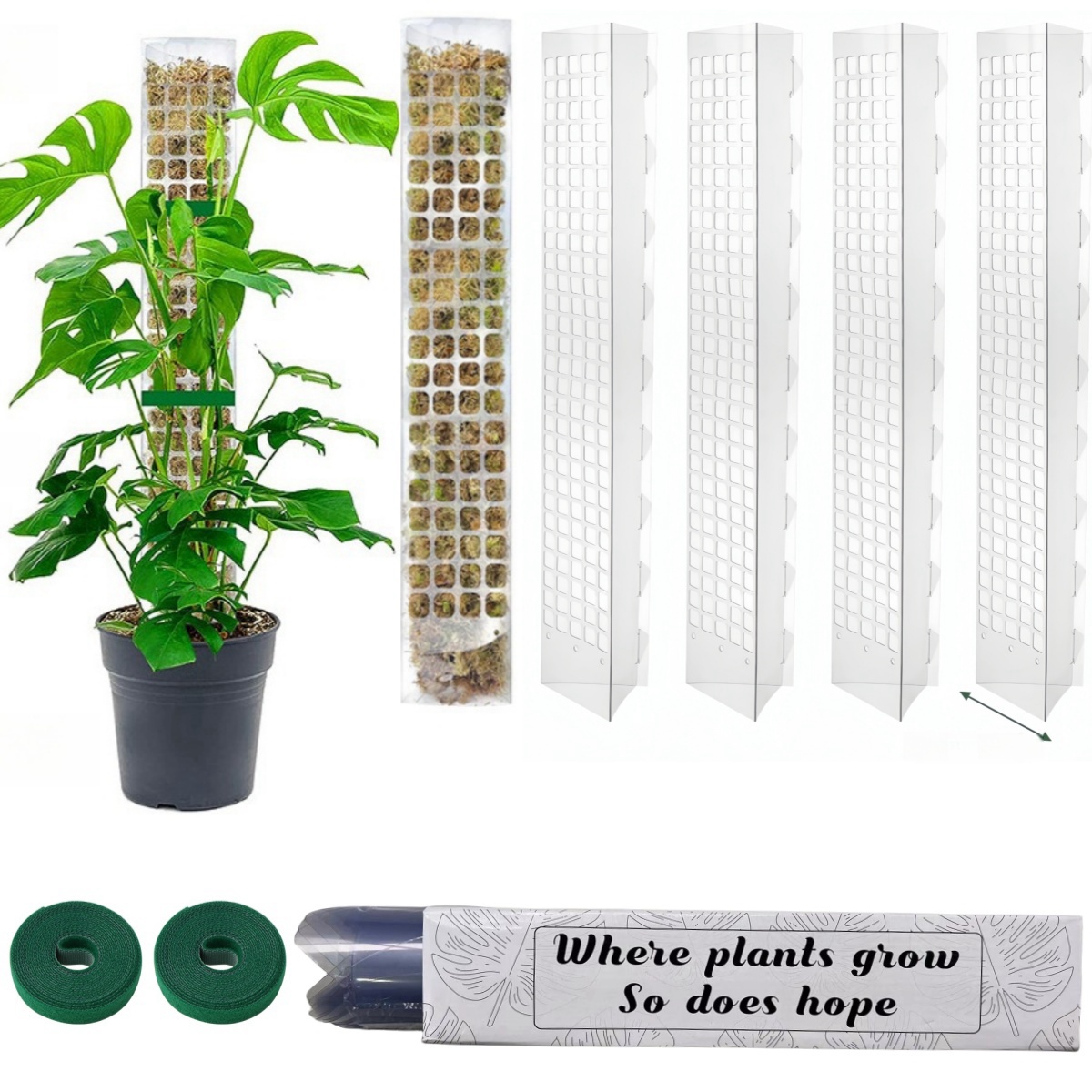 Monstera Thai Constellation - Colonne de mousse d'eau pour plantes