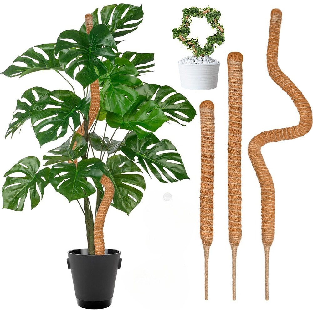 Monstera Thai Constellation - Support d'escalade pour plantes pliables, 30-100cm,