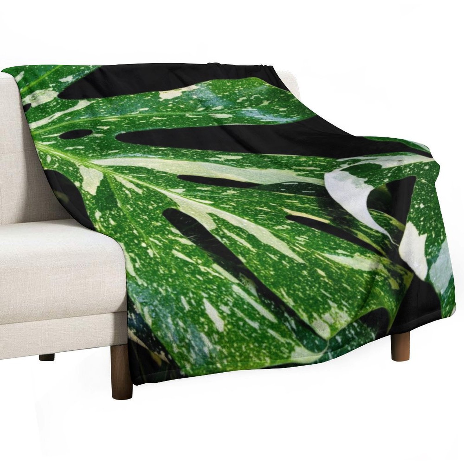 Couverture Monstera Thai Const - Monstera Thai Constellation avis et prix