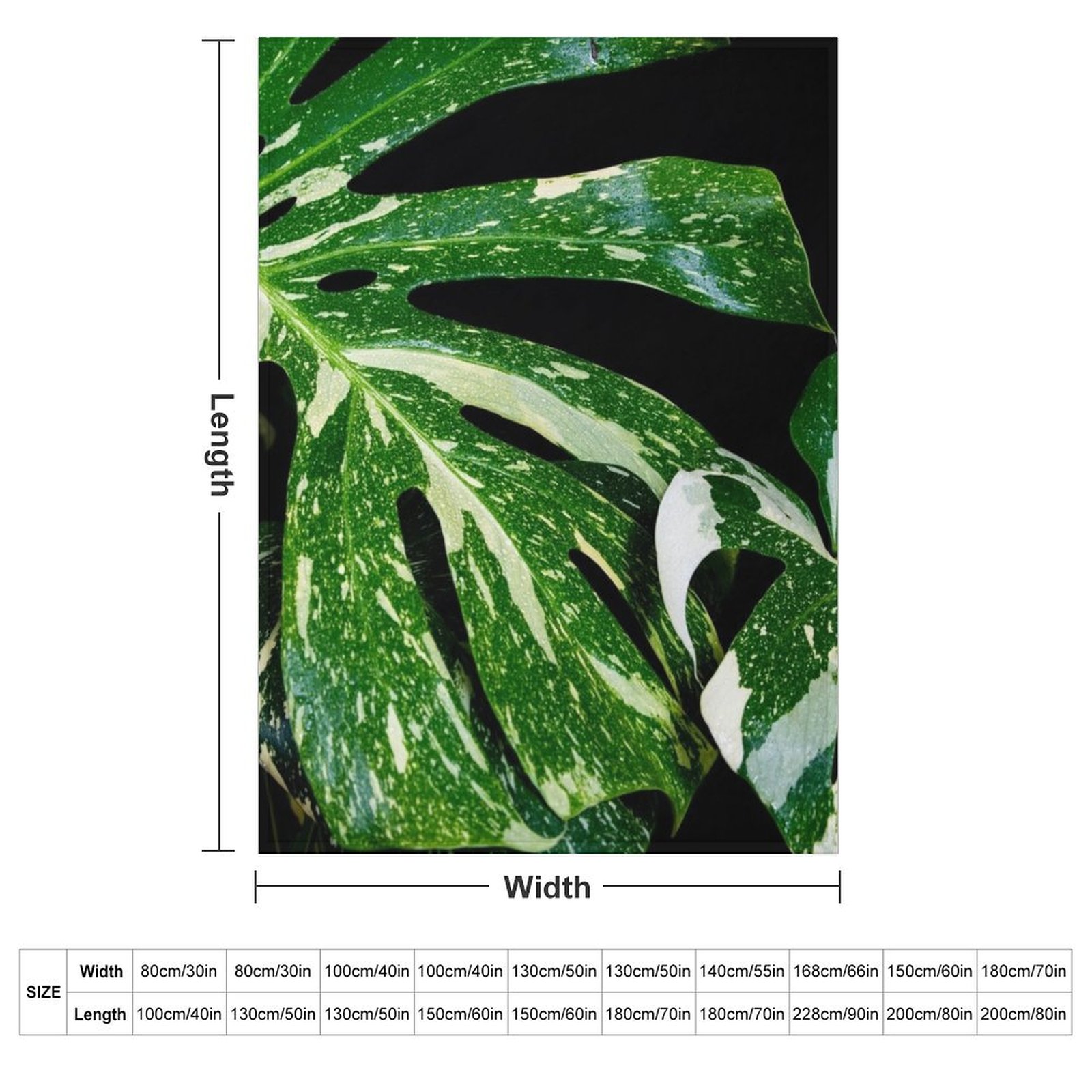 Couverture Monstera Thai Const - Monstera Thai Constellation avis et prix