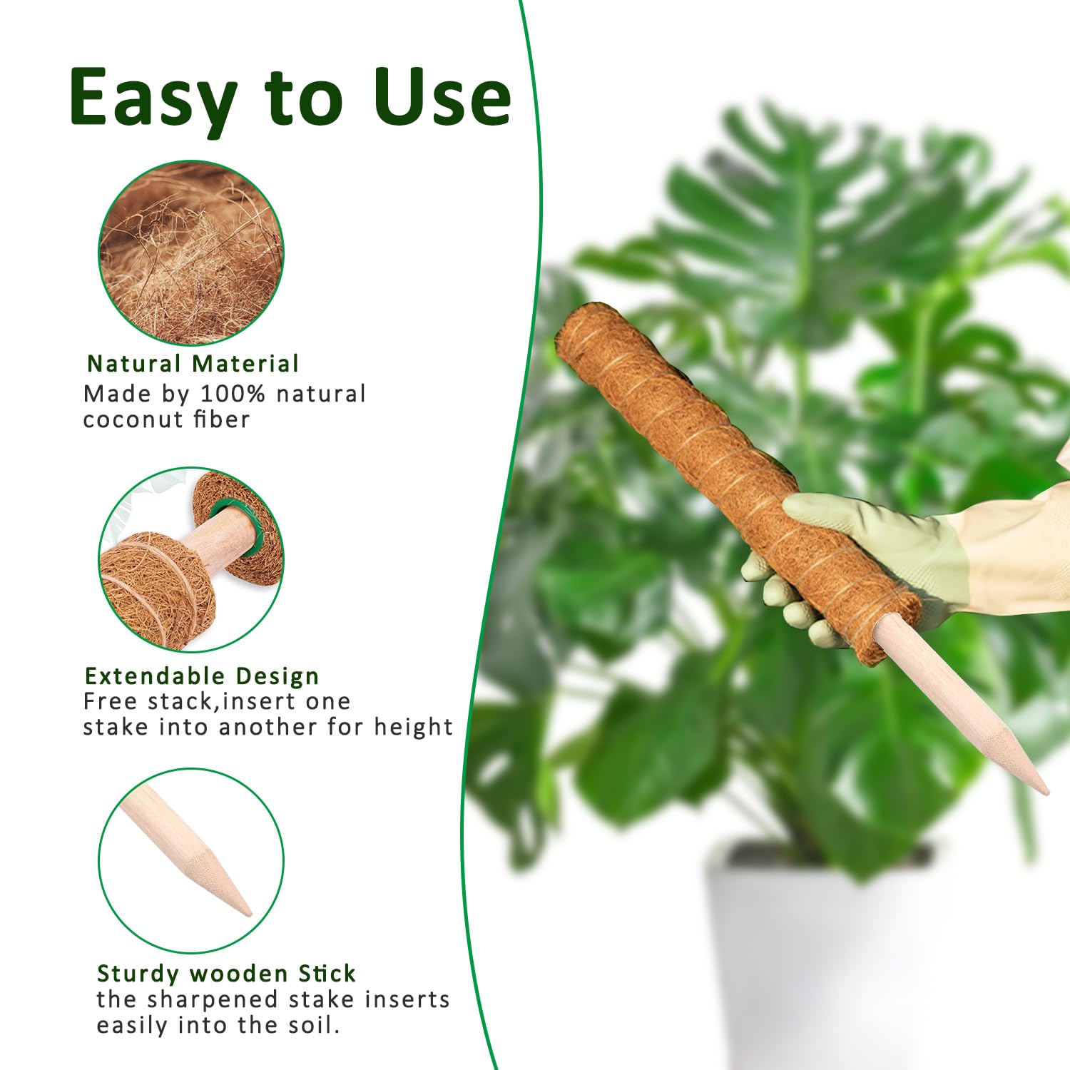 Poteau de mousse 38/43/53CM, S - Monstera Thai Constellation avis et prix