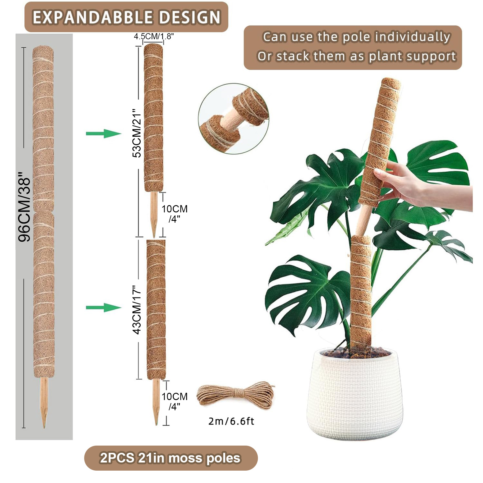 Poteau de mousse 38/43/53CM, S - Monstera Thai Constellation avis et prix