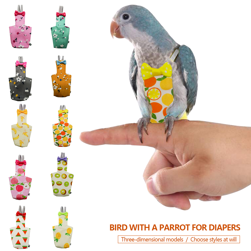Combinaison de vol pour oiseau - Plant Parenthood avis et prix