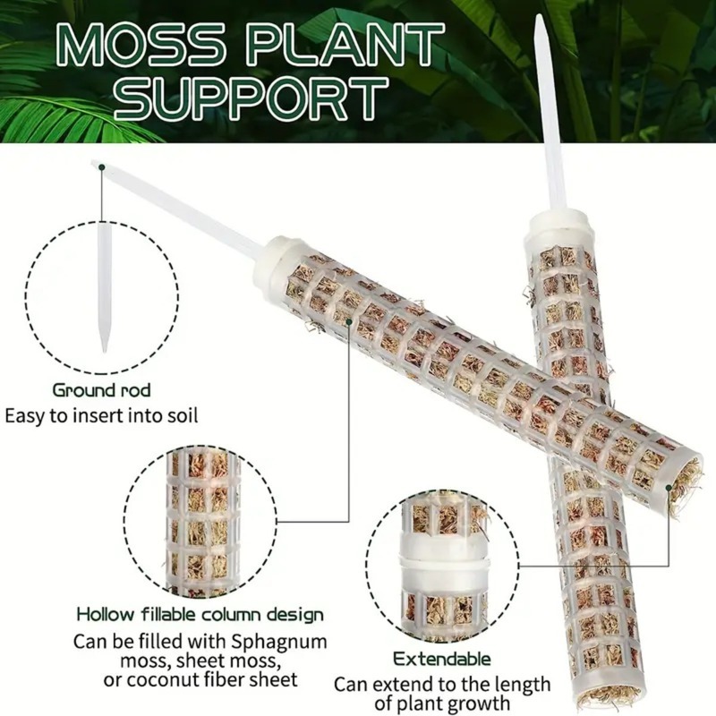 1/2/3 pièces Poteau en mousse  - Monstera Thai Constellation avis et prix