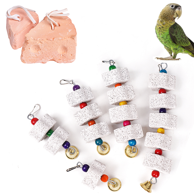 Jouet molaire d'oiseau en form - Plant Parenthood avis et prix