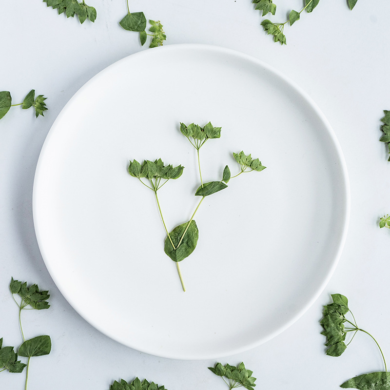 60 pièces d'herbe à oreilles d - Plant Parent Sticker avis et prix